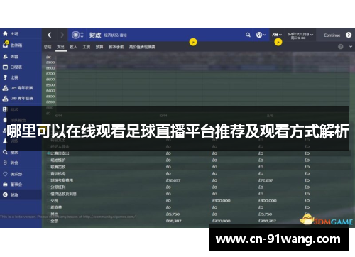 哪里可以在线观看足球直播平台推荐及观看方式解析