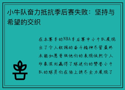 小牛队奋力抵抗季后赛失败：坚持与希望的交织
